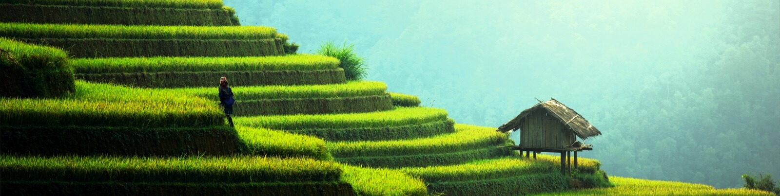 business sustainability ratings and solutions